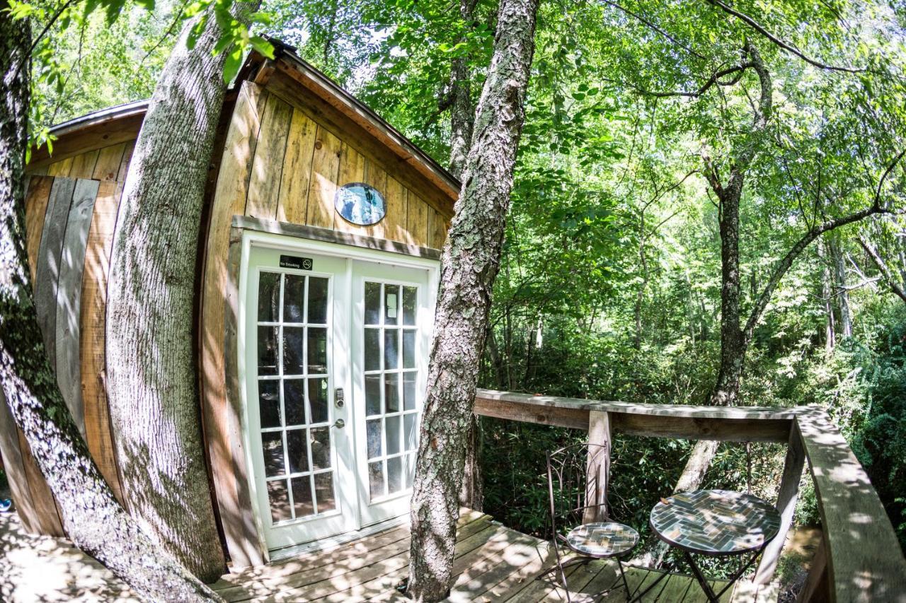Mountain Harbour B&B Roan Mountain 外观 照片